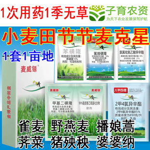 小麦苗后除草剂麦田节节麦炔草酯苯磺隆甲基二磺隆农药节节麦除草
