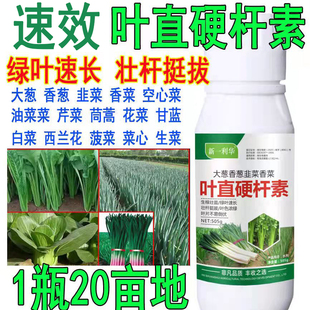 进口蔬菜叶直硬杆素大葱小香葱韭菜香菜肥料绿叶速长壮杆挺拔倒伏