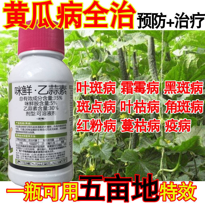 黄瓜病全治黄瓜杀菌剂白粉病叶斑病霜霉病角斑病疫病靶斑病枯萎病