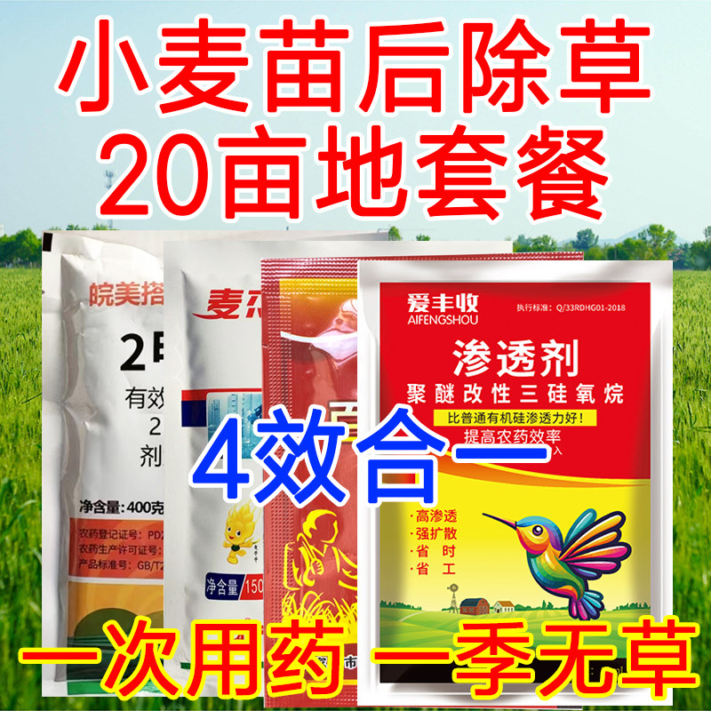 小麦苗后除草剂麦田节节麦炔草酯苯磺隆甲基二磺隆农药节节麦除草