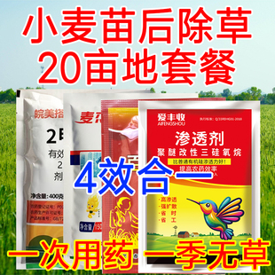 小麦苗后除草剂麦田节节麦炔草酯苯磺隆甲基二磺隆农药节节麦除草