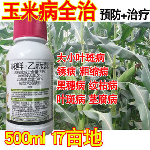 玉米病全治玉米杀菌剂大小叶斑病纹枯病粗缩病锈病茎腐病黑穗病