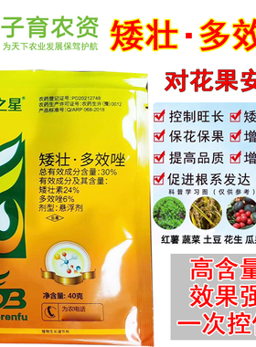 植物矮壮素多效挫唑矮壮剂花卉红薯土豆通用控旺增产壮根生长调节