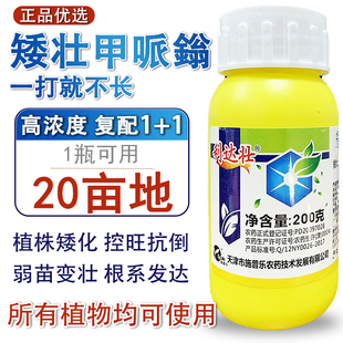 矮壮素甲哌鎓 小麦棉花番茄辣椒红薯控旺矮化助壮素 缩节胺矮壮素