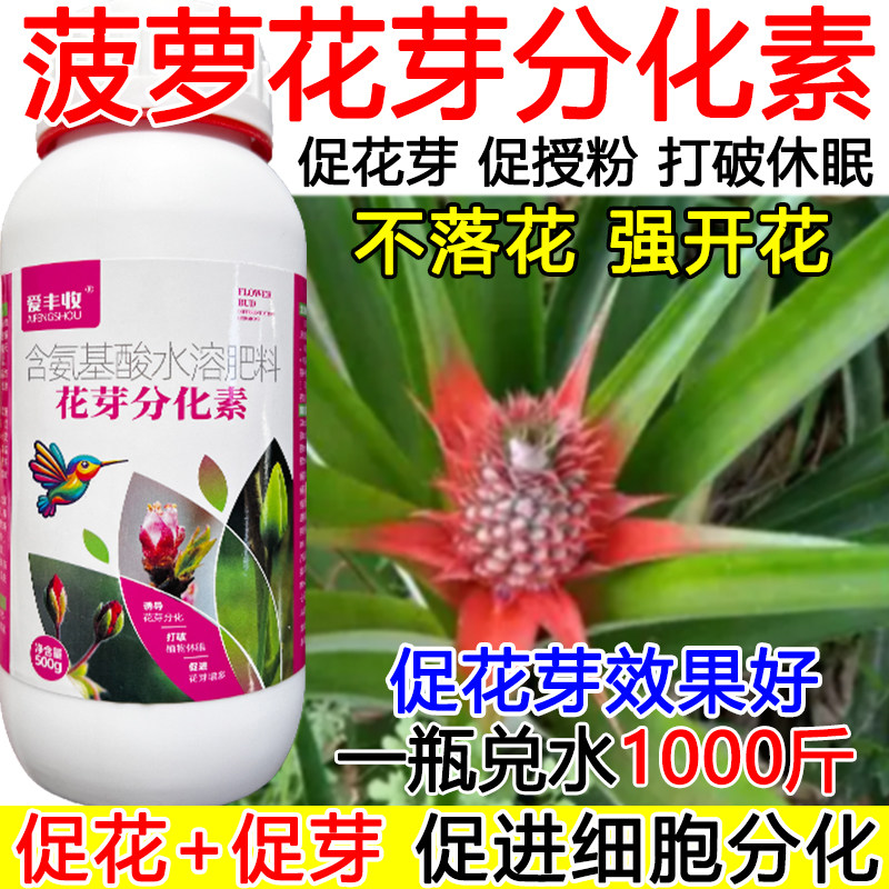 菠萝花芽分化素菠萝促花促芽促授粉保花保果授粉药强座果开花多
