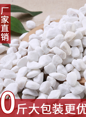 50斤装白色石子石头大鹅卵石庭院铺路铺地小白石头造景景观白石子