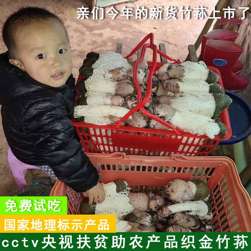 贵州特产精选肉厚美味织金竹荪