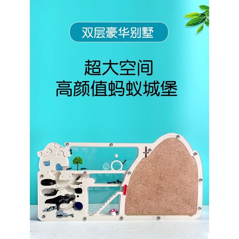 教学大型蚂蚁工坊科教玩具沙巢宠物蚂蚁观察屋蚂蚁城堡生态箱透明,宠物/宠物食品及用品,蚂蚁工坊,淘宝优惠券,粉丝福利购,淘宝优惠卷