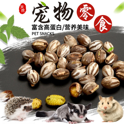 仓鼠零食用品坦克虫蜜袋鼯鼬粮食飞鼠刺猬花枝高蛋白营养增肥活虫