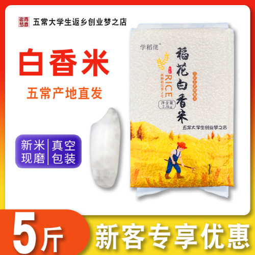 五常稻花白香米学稻佬优质