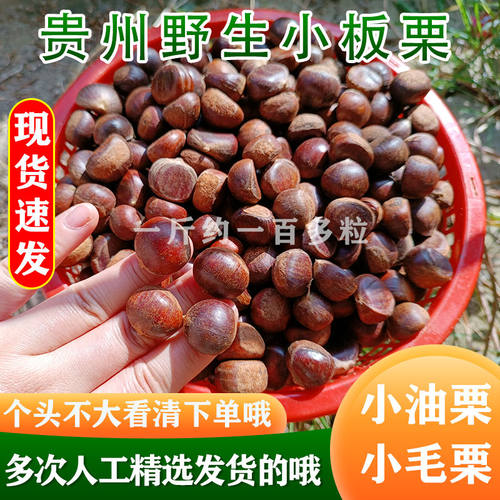 【野生小板栗】贵州高山野生小毛栗小颗粒板栗米炒栗子小油栗