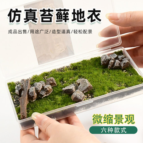 Tuma模型配件仿真草皮地衣苔藓