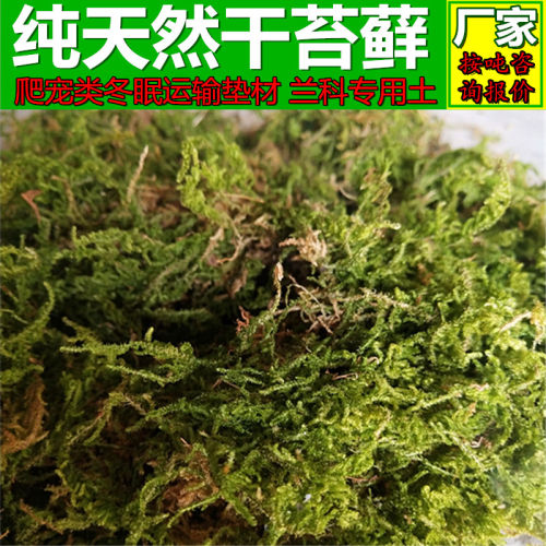 水苔藓销量排行榜 水苔藓品牌热度排名 小麦优选