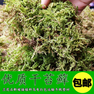 优质干苔藓水苔蝴蝶兰养兰花专用营养土多肉食虫植物水草苔藓厂家