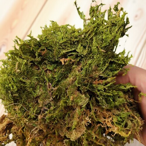 20斤干水苔苔藓水草兰花专用青苔