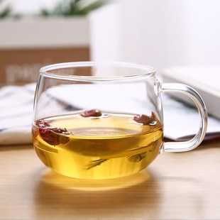 透明玻璃早餐牛奶杯燕麦杯果汁手柄水杯子咖啡杯耐高温花茶杯