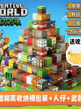 MC我的世界磁力方块积木儿童益智玩具3D立体百变拼搭游戏礼物周边