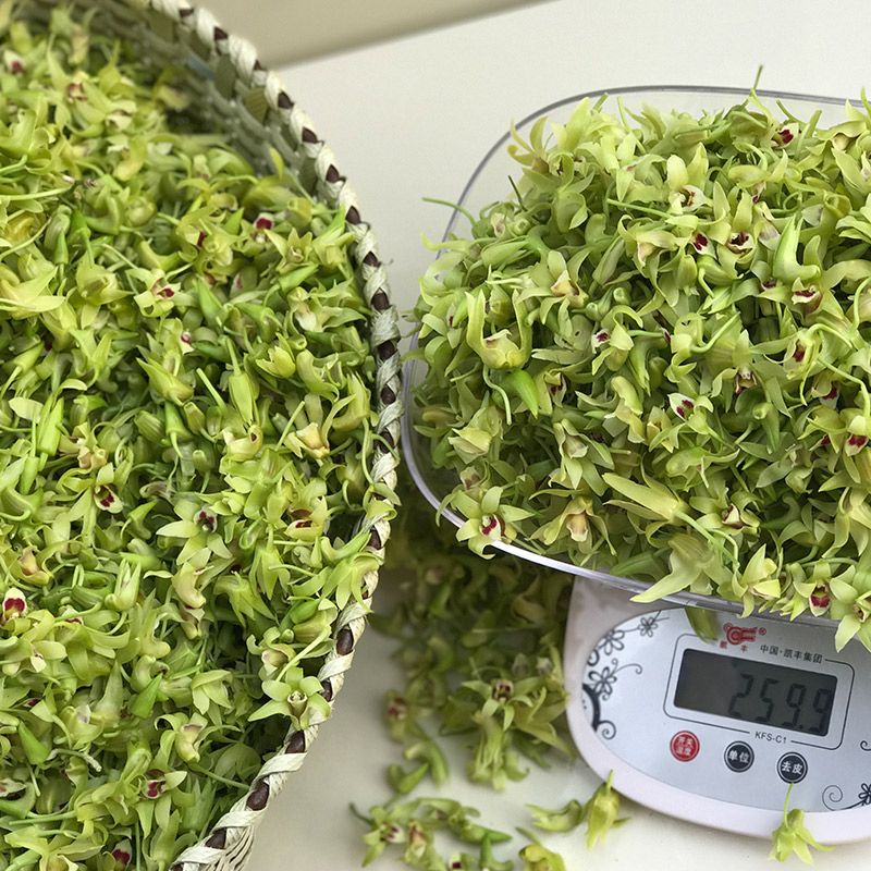 全国包邮顺丰冰袋保鲜当天采摘雁荡山新鲜铁皮石斛鲜花种植石斛花在类目 传统滋补营养品, 石斛/枫斗中 - 来自Buy2taobao.com提供专业的淘宝代购服务