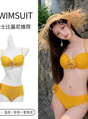 小胸钢托聚拢比基尼三件套泳衣