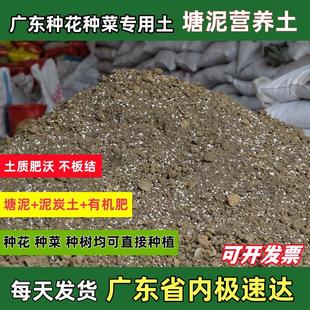 种菜养花种果树苗木营养土塘泥土家庭庭院阳台盆栽植物蔬菜种植土