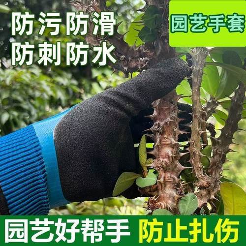 强志达防扎防刺园艺防水手套