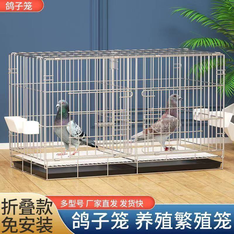 鸽子笼家用养殖笼鸽子配对笼大号鸽子笼家用带隔断繁殖养殖鸽笼子
