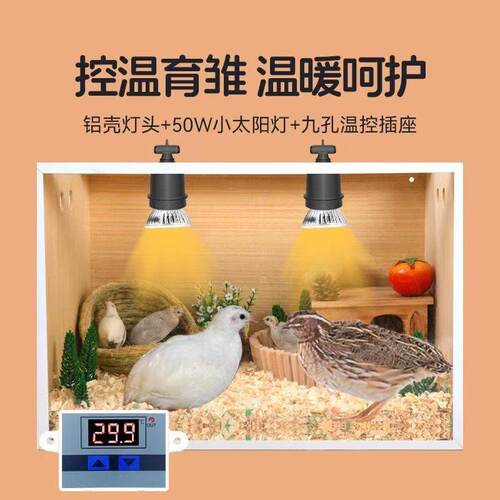 保温灯养殖兽用取暖灯猪场育雏照明加热灯防水防爆鸡鸭宠物用灯泡