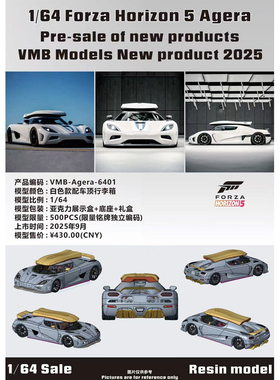 新品定 VMB 1:64 Forza Horizon 5 Agera 树脂车模 带车顶行李箱