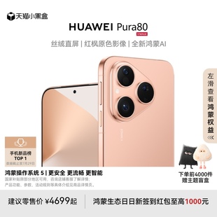 丝绒直屏 Pura 全新鸿蒙AI北斗卫星消息鸿蒙智能手机华为官方旗舰店正品 红枫原色影像 新品 HUAWEI
