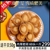 送干贝大鲍鱼干精选淡干大连溏心鲍鱼炖汤佛跳墙海味干货一斤50头