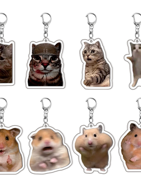 猫meme谷子钥匙扣迷因梗图表情包周边夹层亚克力书包可爱挂件礼物