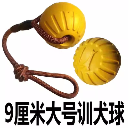 超大号球浮水球大狗黄色球小狗球