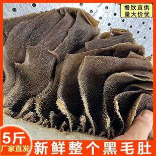 毛肚新鲜整个5斤商用牛百叶黑千层肚大叶片牛肚火锅食材黑毛肚