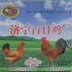 纯种济宁百日鸡种蛋新鲜受精鸡蛋可孵化土鸡蛋高受精率受精卵