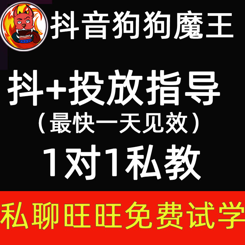 DY抖音抖+抖加投放指导直播短视频教程自媒体素材热门直播带货