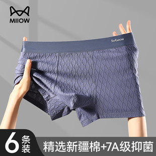 四角裤 纯棉薄款 2025新款 正品 头 猫人男士 高档透气抑菌平角短裤 内裤