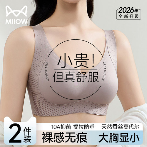 猫人无痕内衣女大胸显小聚拢提拉