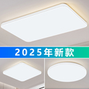 客厅主灯 大气简约现代LED吸顶灯家用餐厅卧室灯中山灯具 2025新款