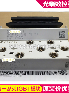 SKIIP83AC12IT1 SKIIP83EC125T1 SKIIP83HEC125T1 SKIIP82AC12IT1