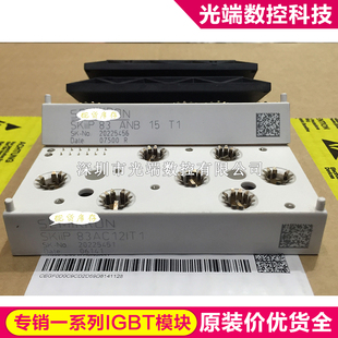 SKIIP83AC12IT1 SKIIP83EC125T1 SKIIP83HEC125T1 SKIIP82AC12IT1