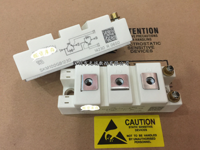 直SKM75GB128DE SKM100GB123D SKM50GB12T4 SKM145GB123D SKM195G