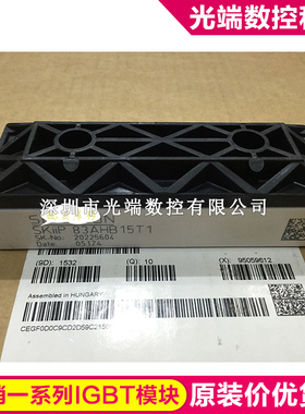 SKIIP83AHB15T1 SKIIP82AC12T1 SKIIP83ANB15T1 SKIIP83AHB15T SK