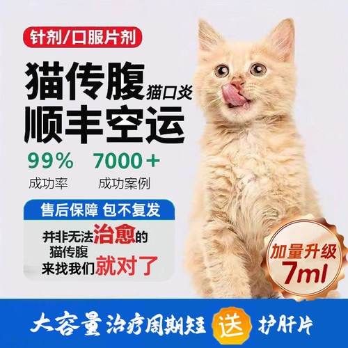 猫传腹大肚子消腹水传染性腹膜炎口炎口服药针剂油剂水剂片剂猫咪
