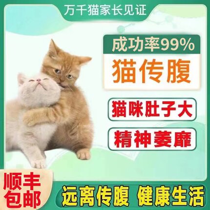 猫咪传腹抑制剂营养液口服片消腹水杯状干性湿性腹膜炎猫传腹