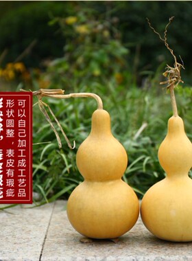 天然葫芦摆件苏民峰寓意办公文玩家居客厅中式挂件带龙头吉祥