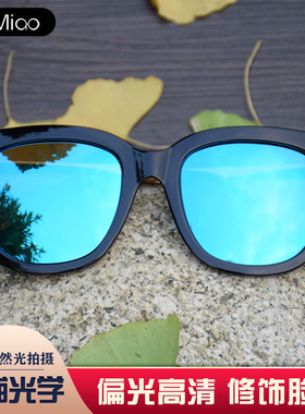 墨镜偏光韩版复古风男士太阳镜
