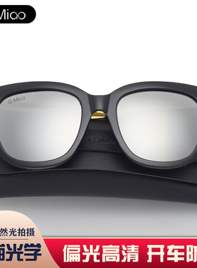 墨镜偏光韩版复古风男士太阳镜