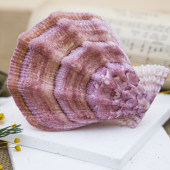 北海道扇贝天然海螺贝壳收藏标本螺鱼缸水族箱造景家居装 饰摆件