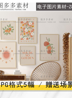 现代简约橙色抽象几何植物花朵水果桃子客厅照片墙装饰画素材图片