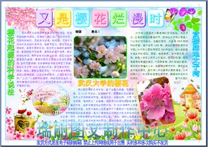 又是樱花烂漫时电子小报模板春天樱花节手抄报赏樱板报简报1937